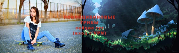 гашик Корсаков