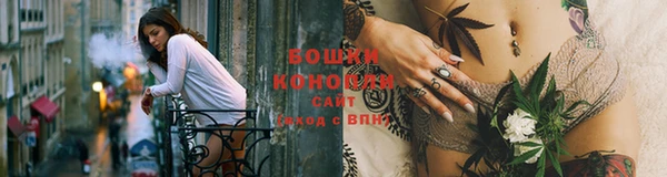 гашик Корсаков